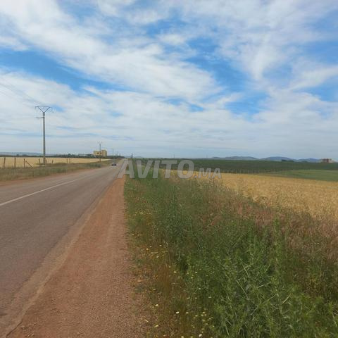 3 hectares sur route à Jery