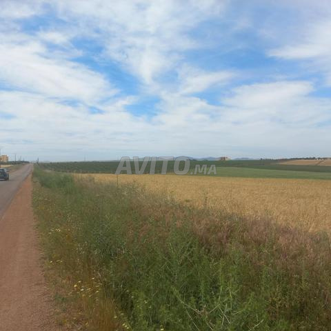 3 hectares sur route à Jery - 2