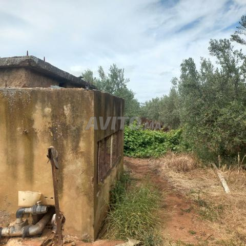 8 hectares sur route à Jery - 2