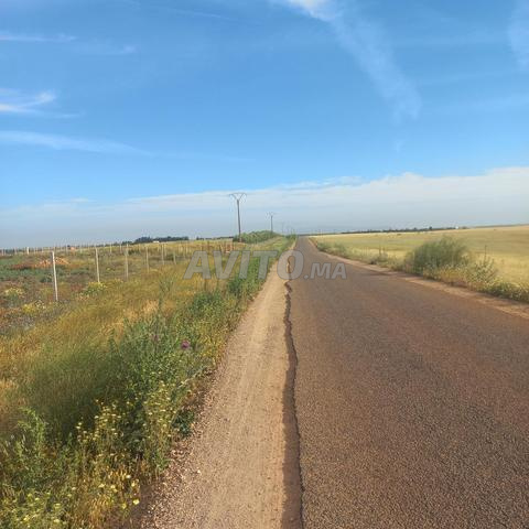 8 hectares sur route à Jery