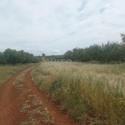 5.5 hectares à Jery prix intéressant - 2
