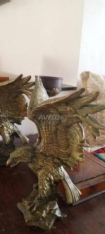 نسران نحاسيان للبيع 🦅 - 2
