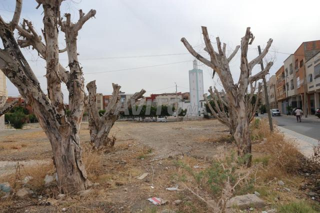 Terrain commercial de 334 m2