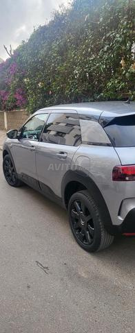 C4 Cactus en très excellent état - 2