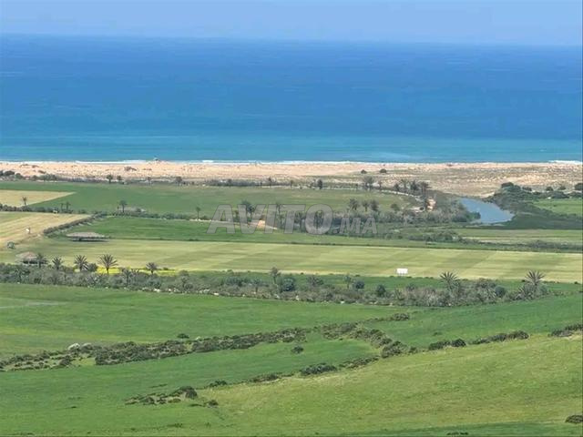 Terrains enregistrés et équipés à vendre sur la plage de Sidi Mghayth