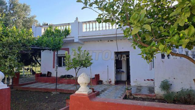 Ferme à vendre, titre foncier enregistrable - 2