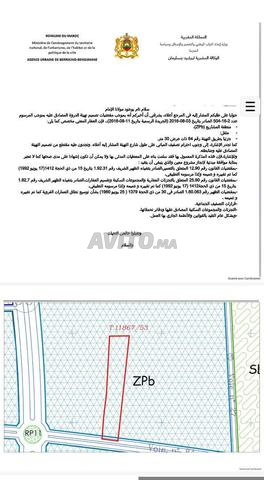 Terrain à vendre Daroua 10 000 m² divisible et propice aux projets - 2