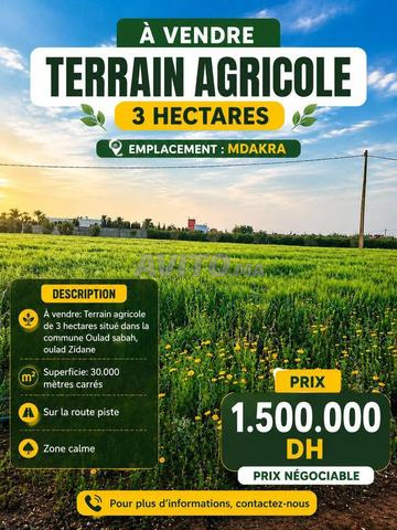 Terrain agricole à vendre Ouled Zidane