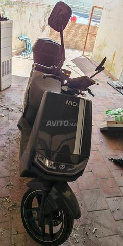 سكوتر كهربائي Tailg mio