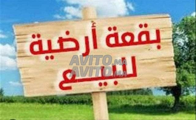 Un terrain à vendre à Sidi Maarouf