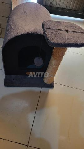 Maison pour chat avec griffoir d'occasion en bon état