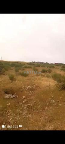 أرض محفظة للبيع - 2