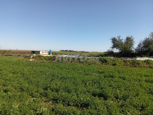 Magnifique ferme à vendre - 2