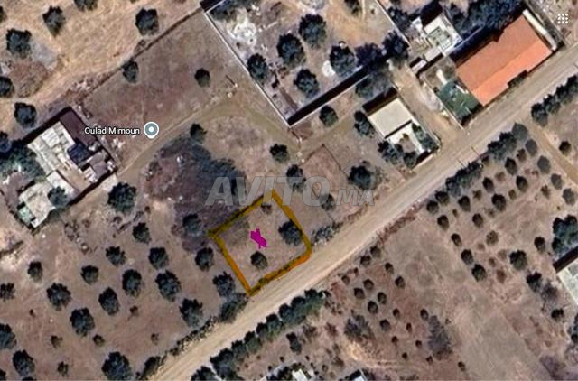Terrain à vendre – Opportunité d'investissement unique - 2