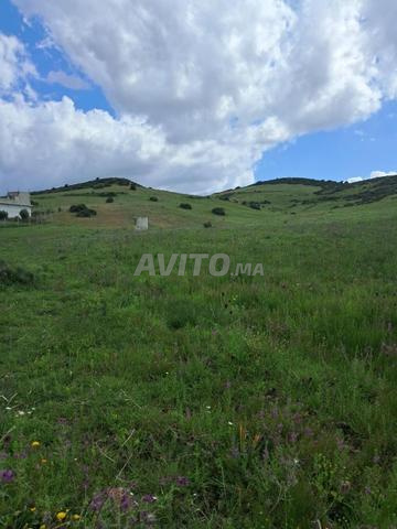 Terrain à vendre Croisette Blanche en périphérie de Tanger
