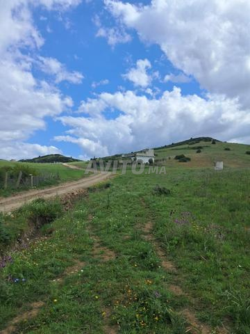 Terrain à vendre Croisette Blanche en périphérie de Tanger