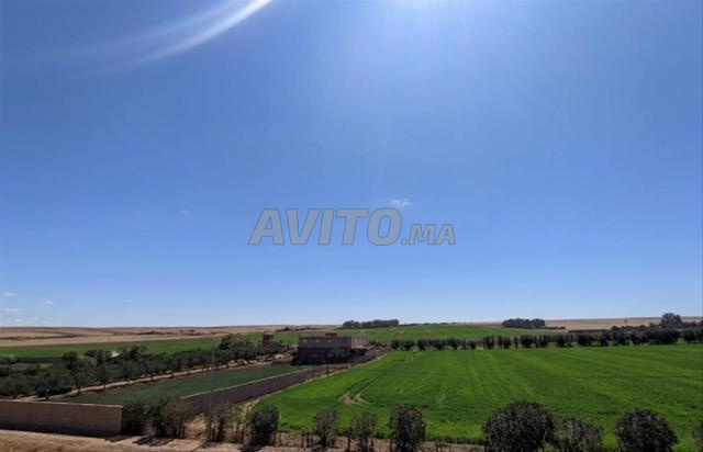 سطات طريق مراكش