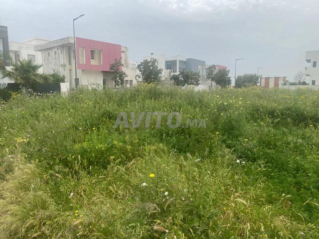 Terrain villa Ryad Tamesna - 2