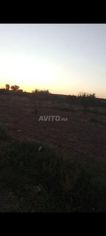 Sidi Ghayat Douar Ougrar - 2