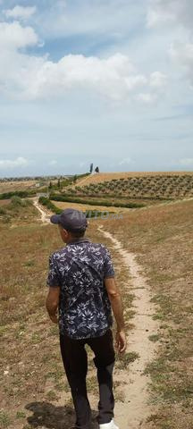 TERRAIN AGRICOLE 26 HECTARES - 2