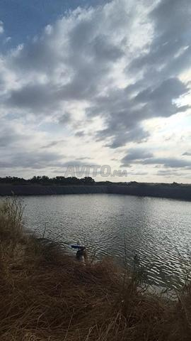 36 hectare El Jadida
