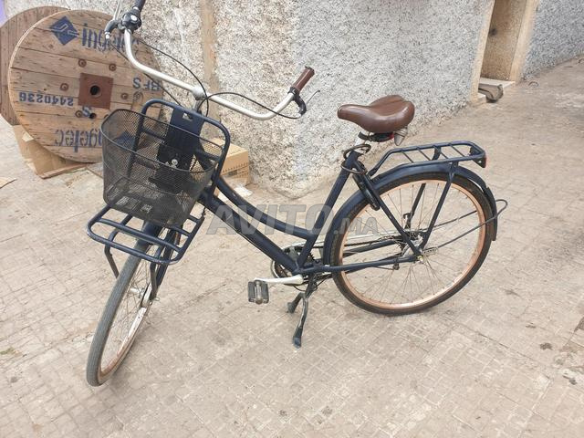 كورتينا بحالة نقية