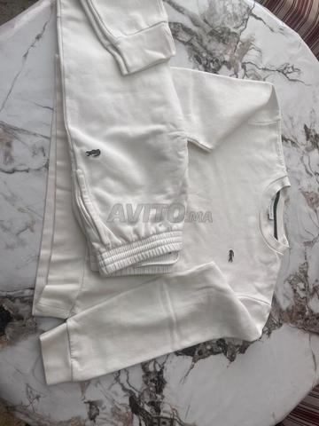 Lacoste 🐊 original taille (M) - 2