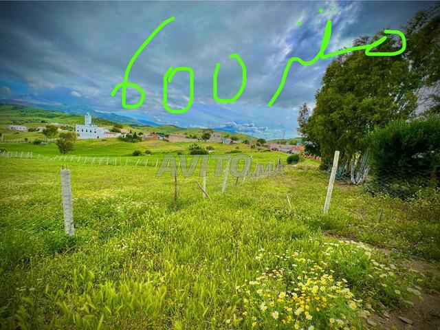 Terrain à vendre 630 m² route Tanger-Tétouan - 2