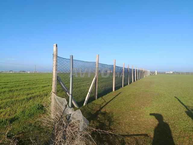 Superbe terrain titré Ain Jouhara 2700 m² - 2