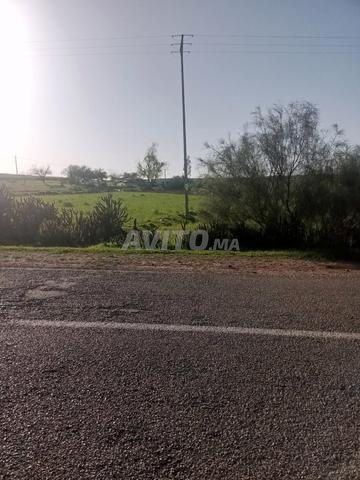 Terrain agricole à vendre de 7 hectares - 2