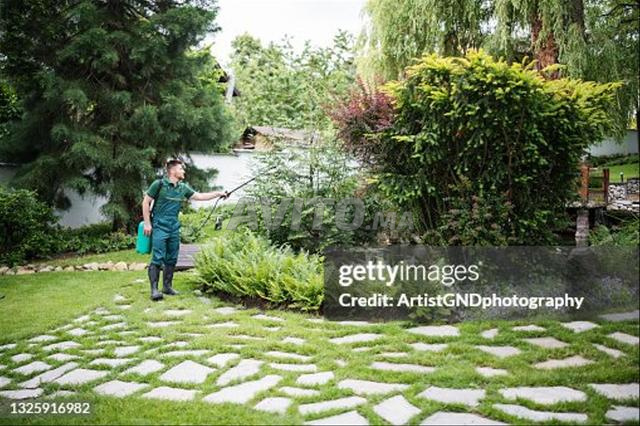 Jardinage espace vert - 2
