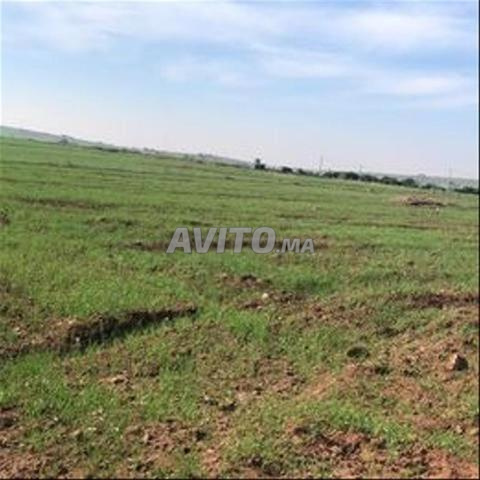 أراضٍ محفظة بير جديد للسكن أو الاستثمار - 2
