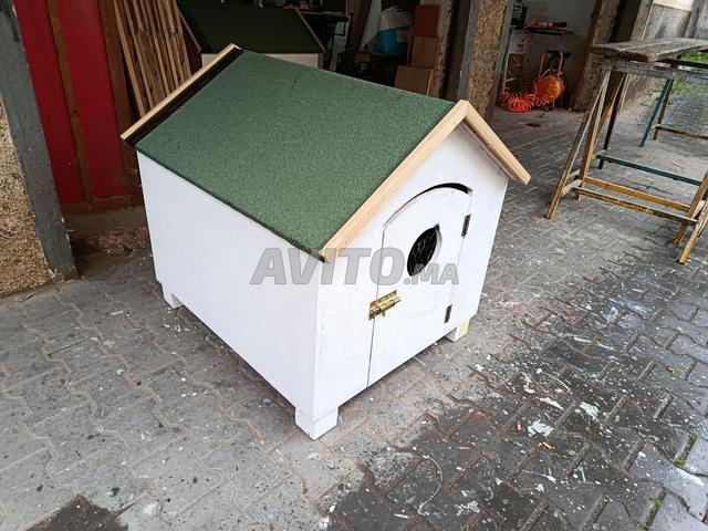 Maison pour chien