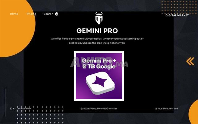 Gemini pro / Gemini