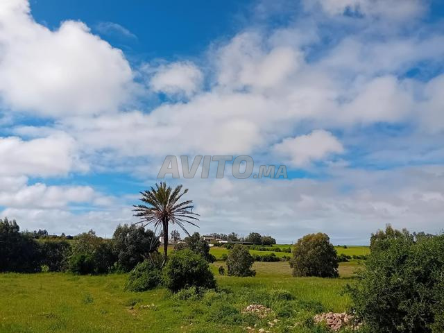Terrain Azemmour - 2
