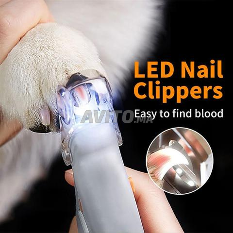 Pinces LED pour les griffes - 2
