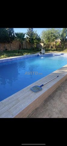 Location villa avec piscine - 2