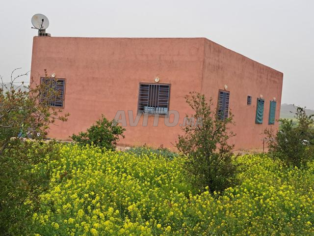 Ferme agricole - 2