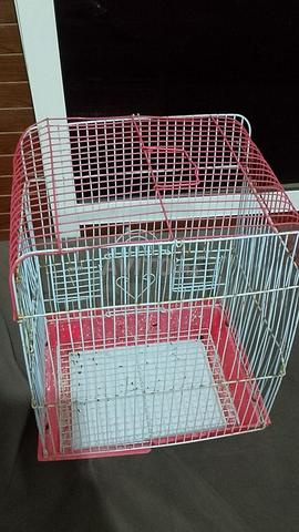 Cage pour oisillons prix raisonnable