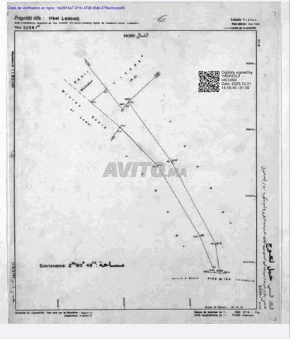Terrain titré avec fort potentiel et stratégique - 2