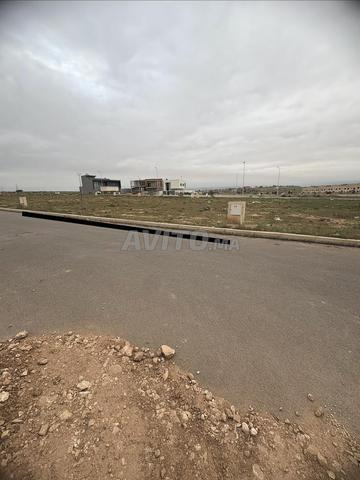 وجدة مرجان - 2