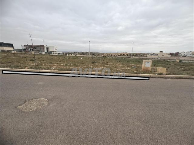 وجدة مرجان