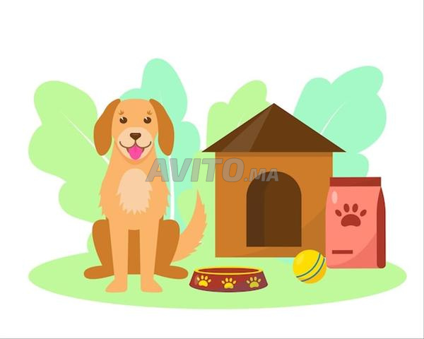 Pension et hôtel dressage pour chien