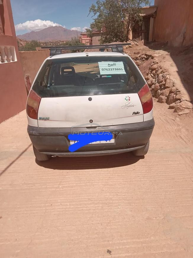 palio avendre 