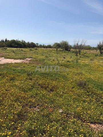 Terrain 2 Hectares, titré, route de Fès, km 15 - 2