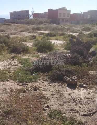Terrain à vendre Nkour Imzouren محافظة الشياع