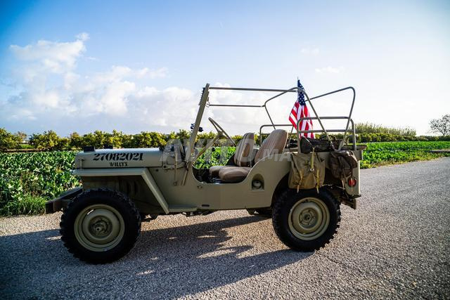 Jeep Willys CJ3a Essence Manuelle 1980 à Tanger - 2