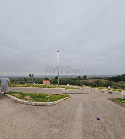 Maison libre à vendre 100m² Zawia Cheikh 39 millions - 2