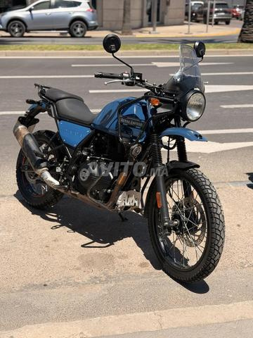 Himalayan 411