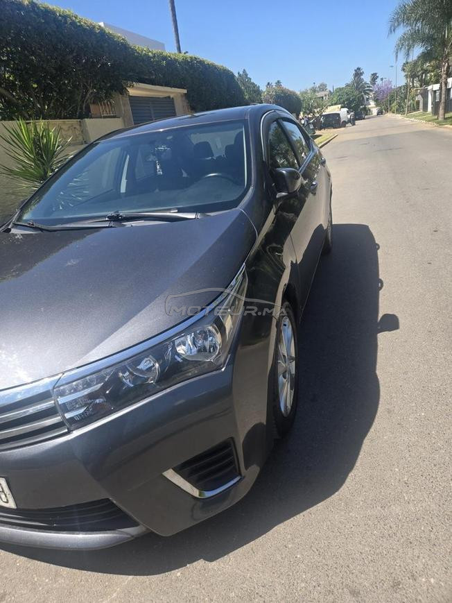 Toyota corolla